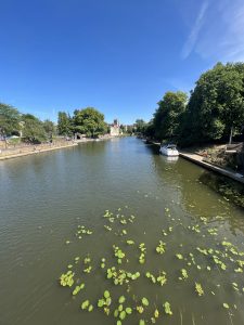 IMG_9780